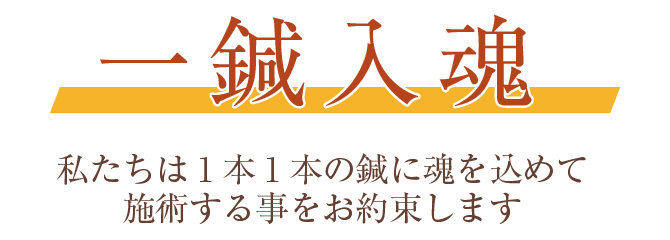 一鍼入魂